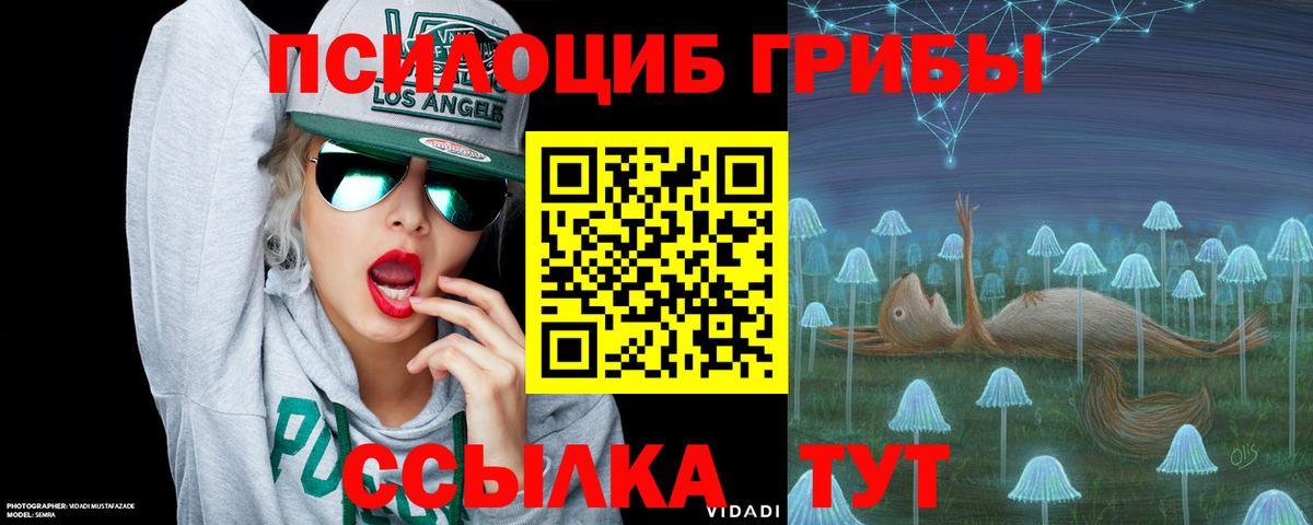 Коркино  Галлюциногенные грибы MAGIC MUSHROOMS  Псилоцибиновые грибы Psilocybine cubensis  Вход с VPN 
